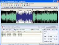 Easy MP3 WMA Cutter screenshot